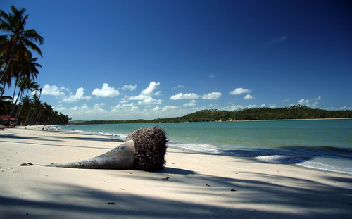 praia-dos-carneiros