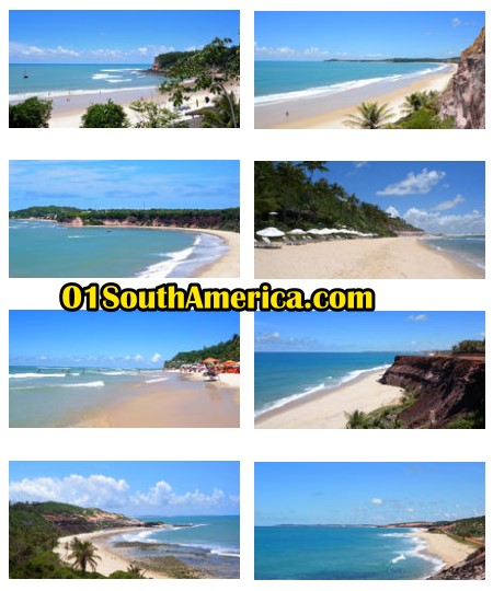 beachs pipa brazil