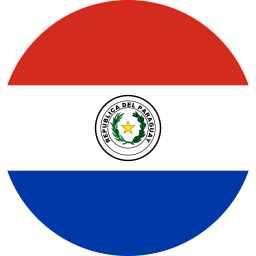 Flag Paraguay